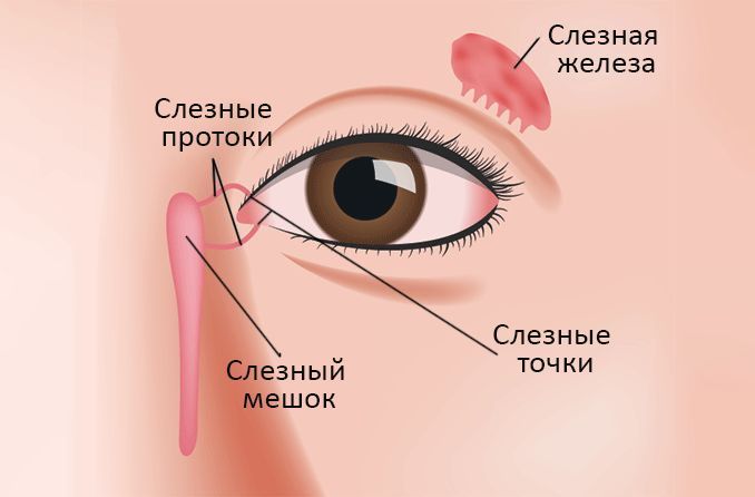 Закупорка слезных протоков: причины и симптомы
