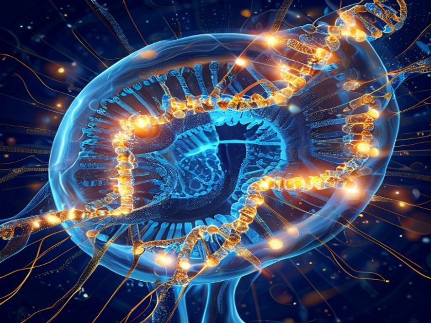 Геномный скрининг открыл новые генные терапии для защиты сетчатки от дегенерации Геномный скрининг открыл новые генные терапии для защиты сетчатки от дегенерации